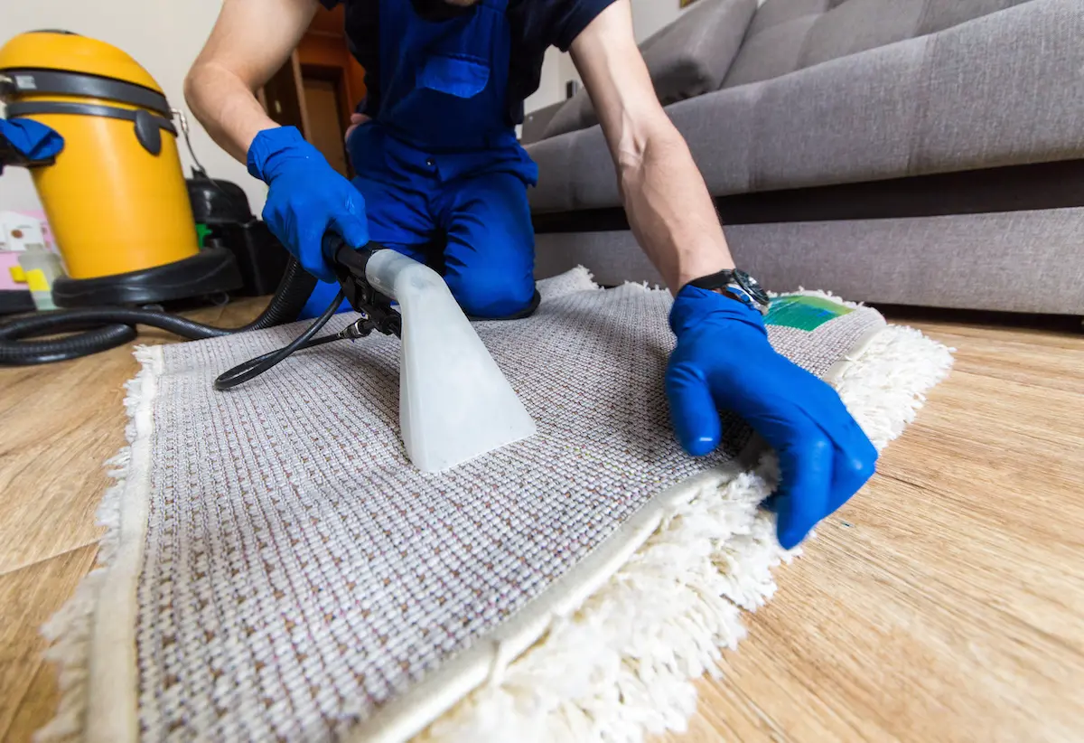 Carpet Cleaning Myths Debunked: What Really Works